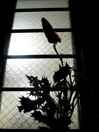 100203_setubun01.jpg