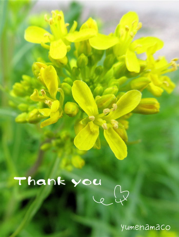 20120327_01.jpg