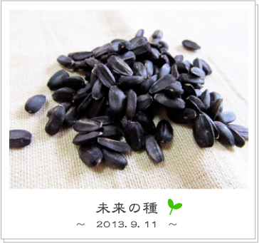 20130911_mirai02.jpg