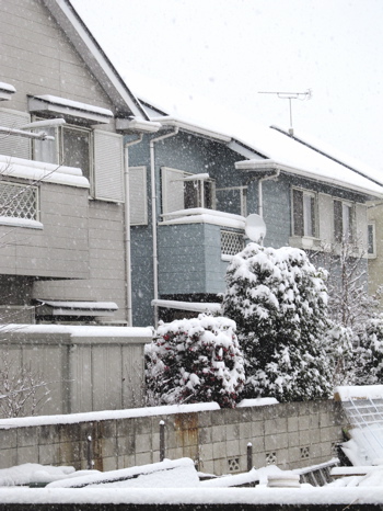 20140208_03.jpg