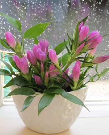 20140606_01.jpg