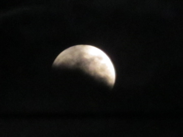 IMG_6645.jpg