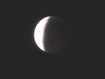 IMG_6662.jpg