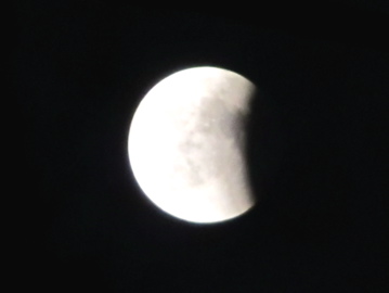IMG_6667.jpg