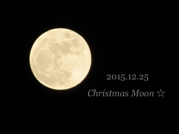 IMG_8269.jpg