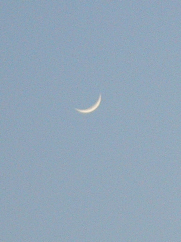 P1190003.jpg