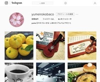 insragram_01.jpg