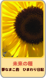 mirai2008.gif